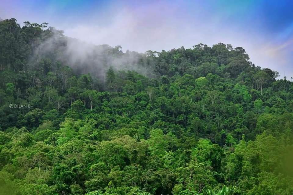 Sinharaja Forest Gate Денияя Екстериор снимка