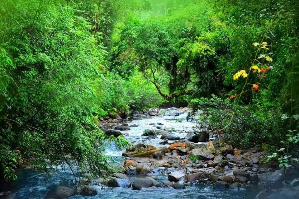 Sinharaja Forest Gate Денияя Екстериор снимка