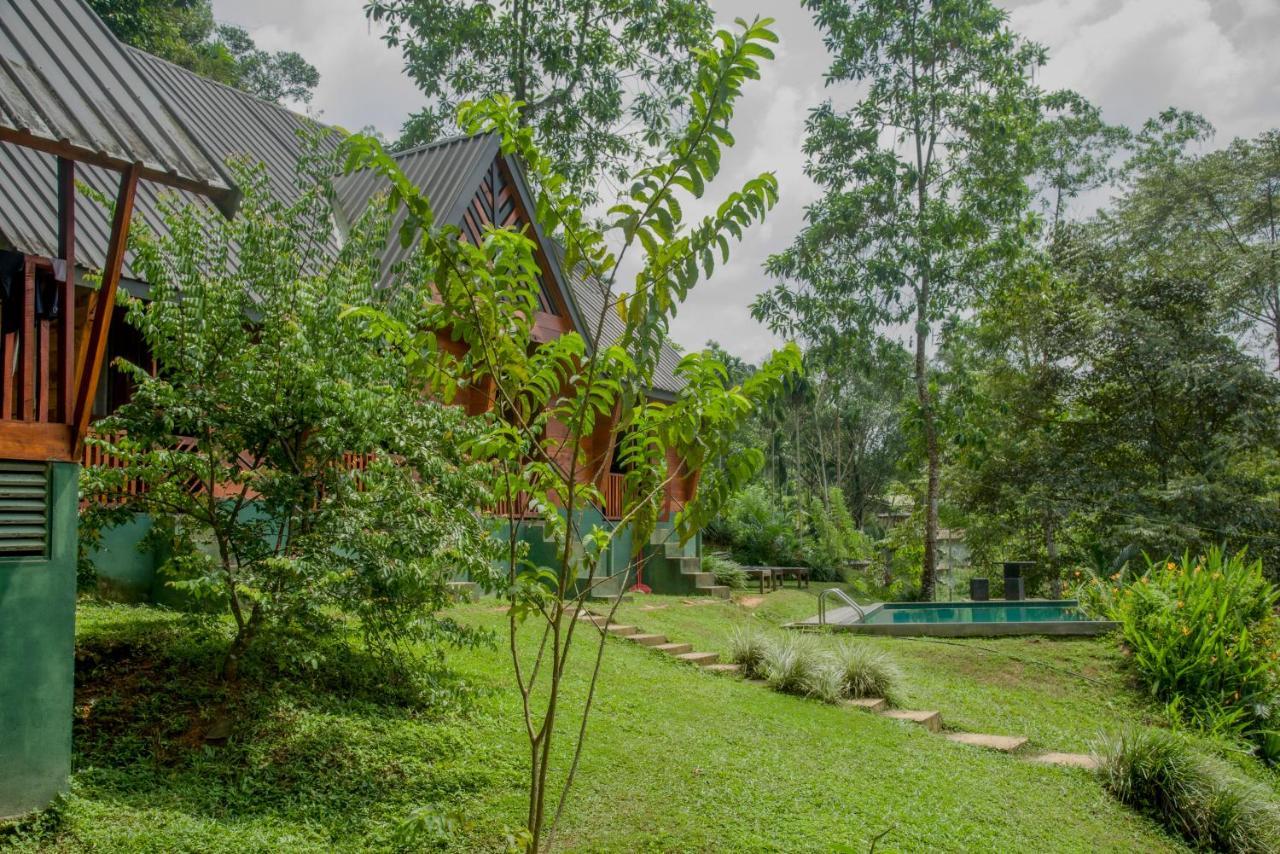 Sinharaja Forest Gate Денияя Екстериор снимка