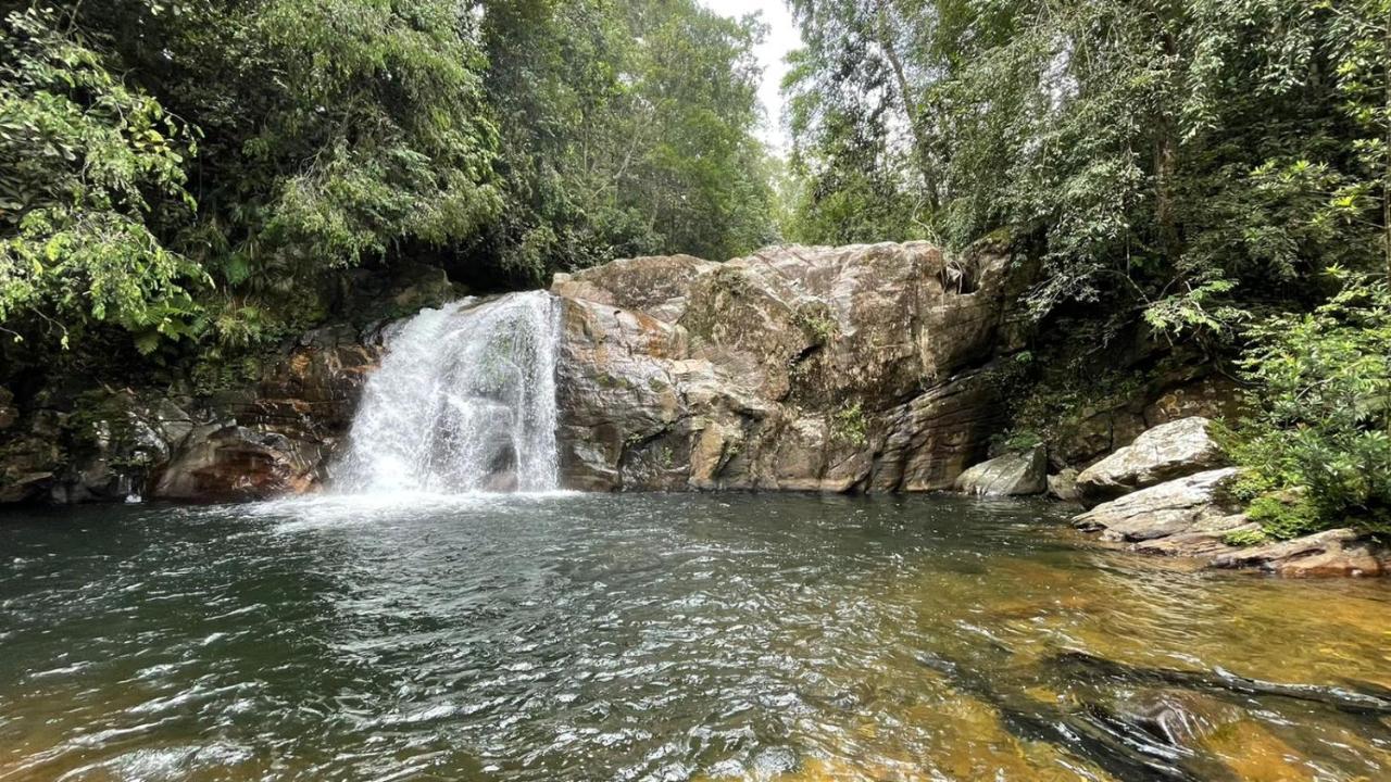 Sinharaja Forest Gate Денияя Екстериор снимка