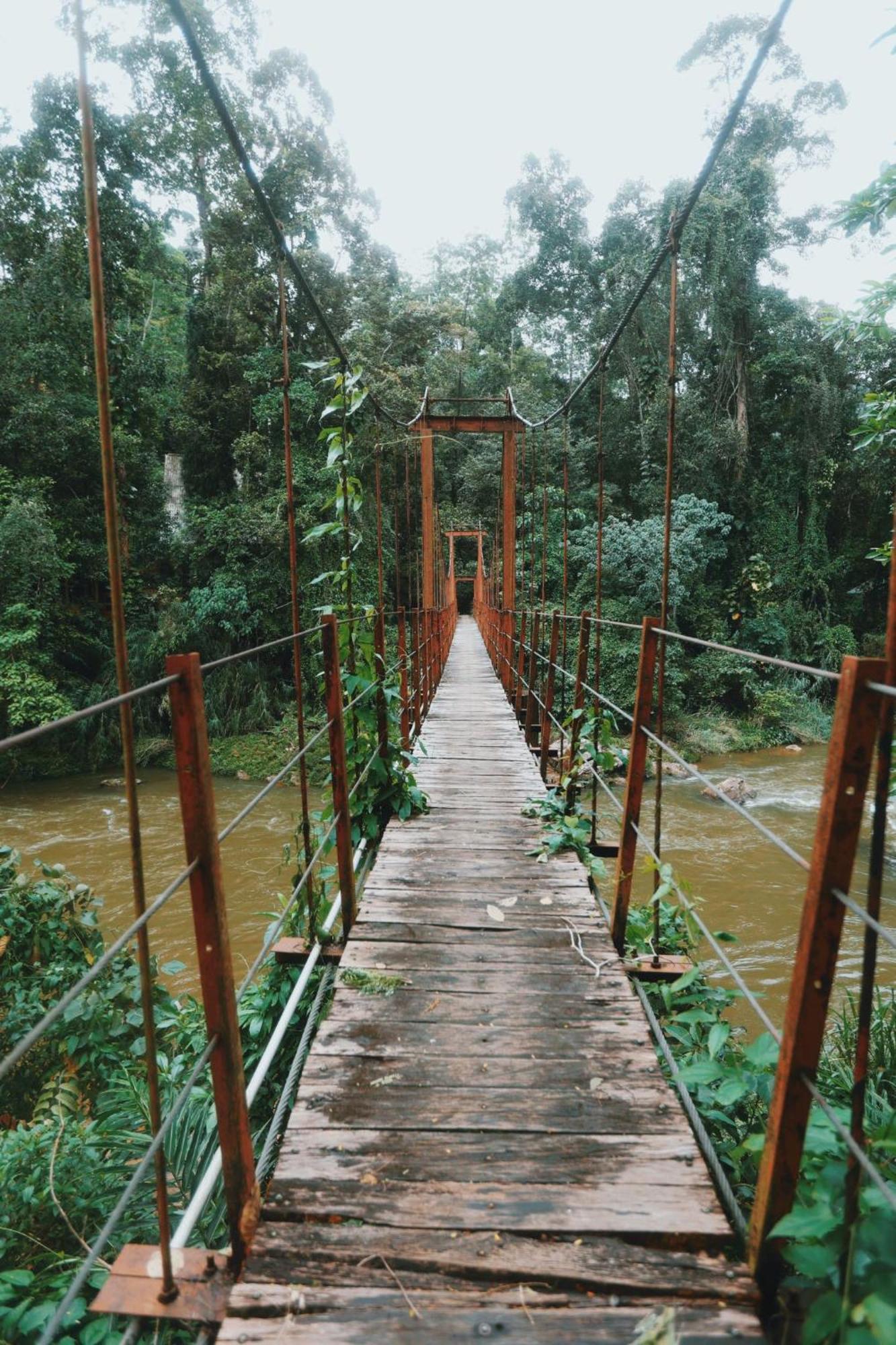 Sinharaja Forest Gate Денияя Екстериор снимка